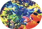 B5_Vivid