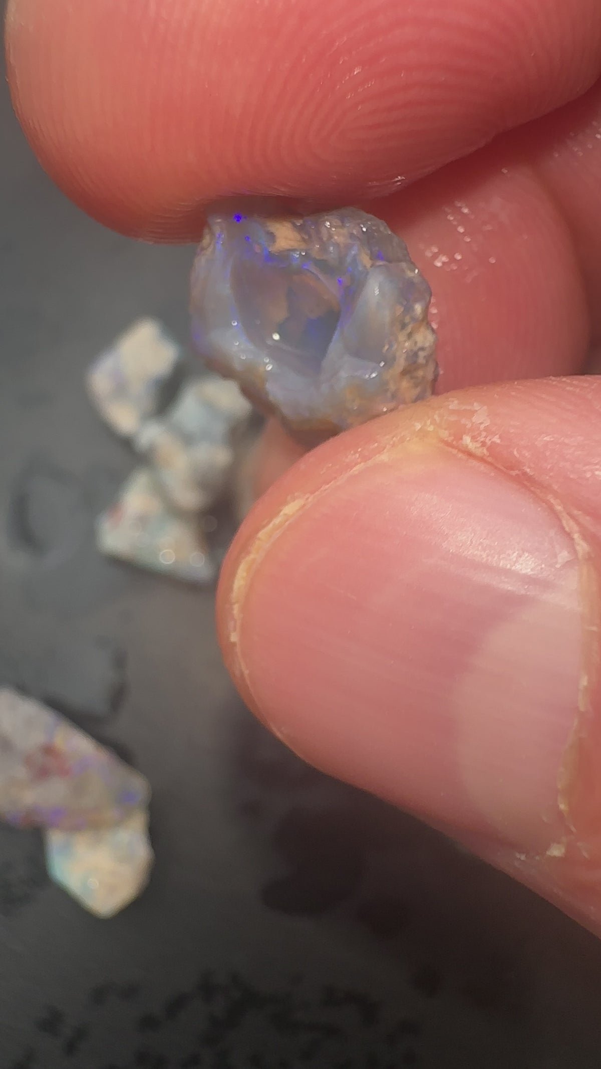 29.54g Lightning Ridge Nobby Rough & Rubbed Opal Parcel